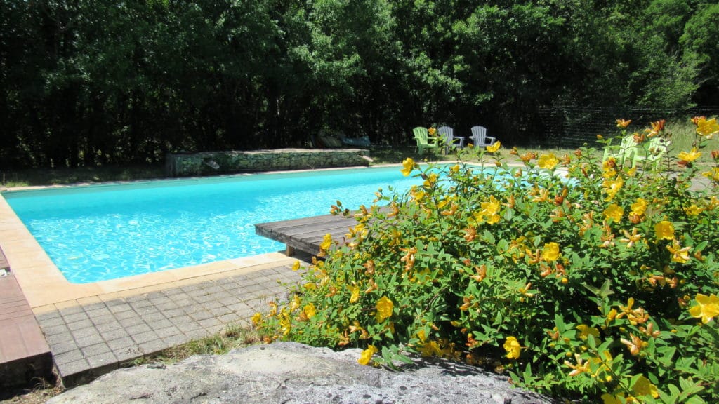 vue sur le piscine de la grande combe bleu azur, un penton et de superbe fleurs jaunes.